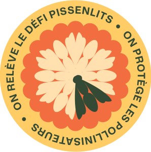On relève le défi pissenlits